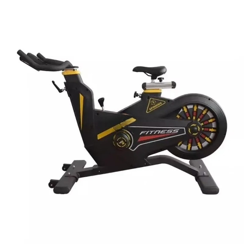Home Gym Fitness - Vélo de spinning commercial, vélo d'exercice