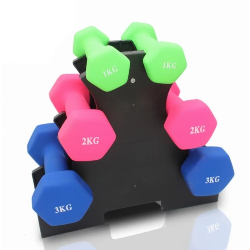 Support de rangement pour halt - Home Gym Fitness avis et prix
