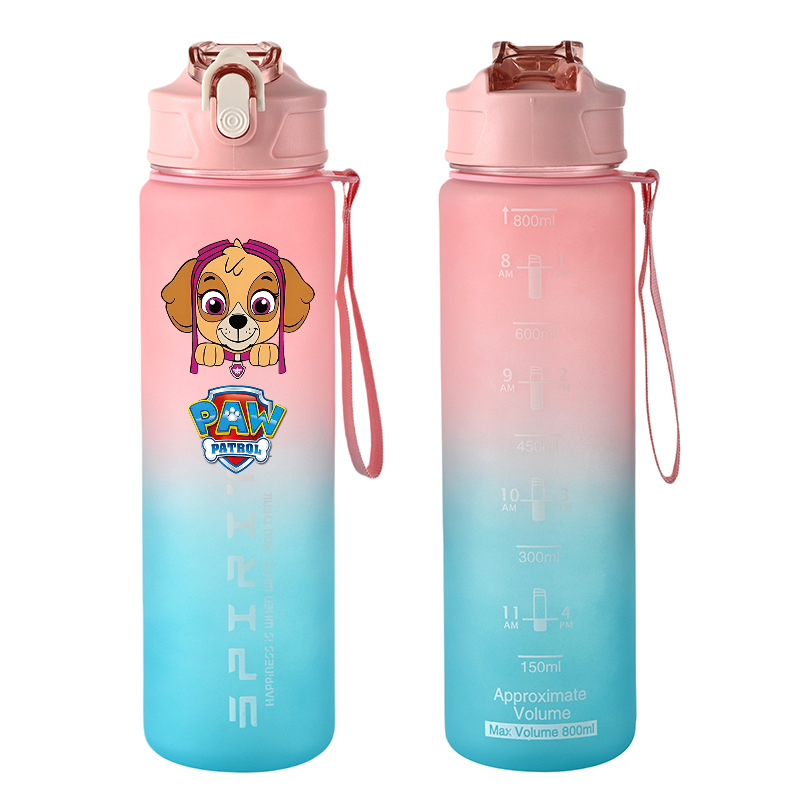 Bouteilles d'eau de sport PAW  - Home Gym Room avis et prix
