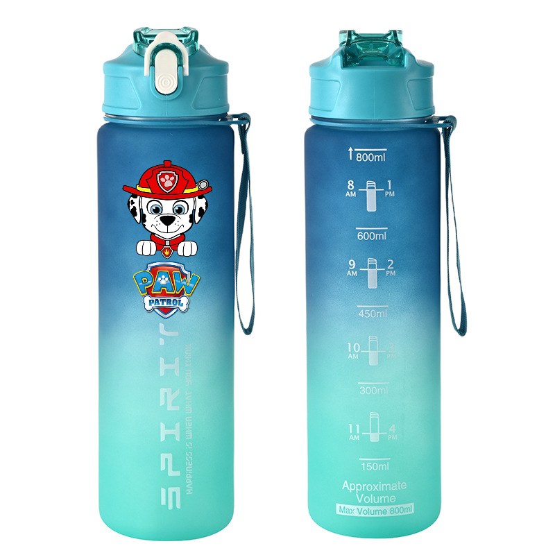 Bouteilles d'eau de sport PAW  - Home Gym Room avis et prix